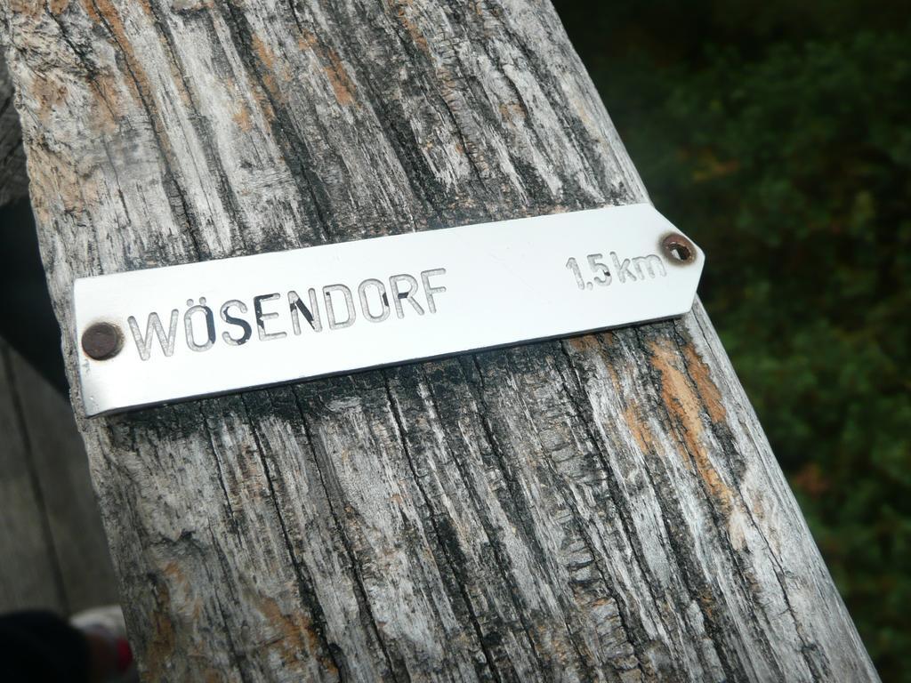 Weingut Langmayer Wosendorf in der Wachau Bagian luar foto