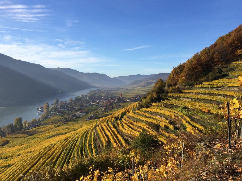 Weingut Langmayer Wosendorf in der Wachau Bagian luar foto