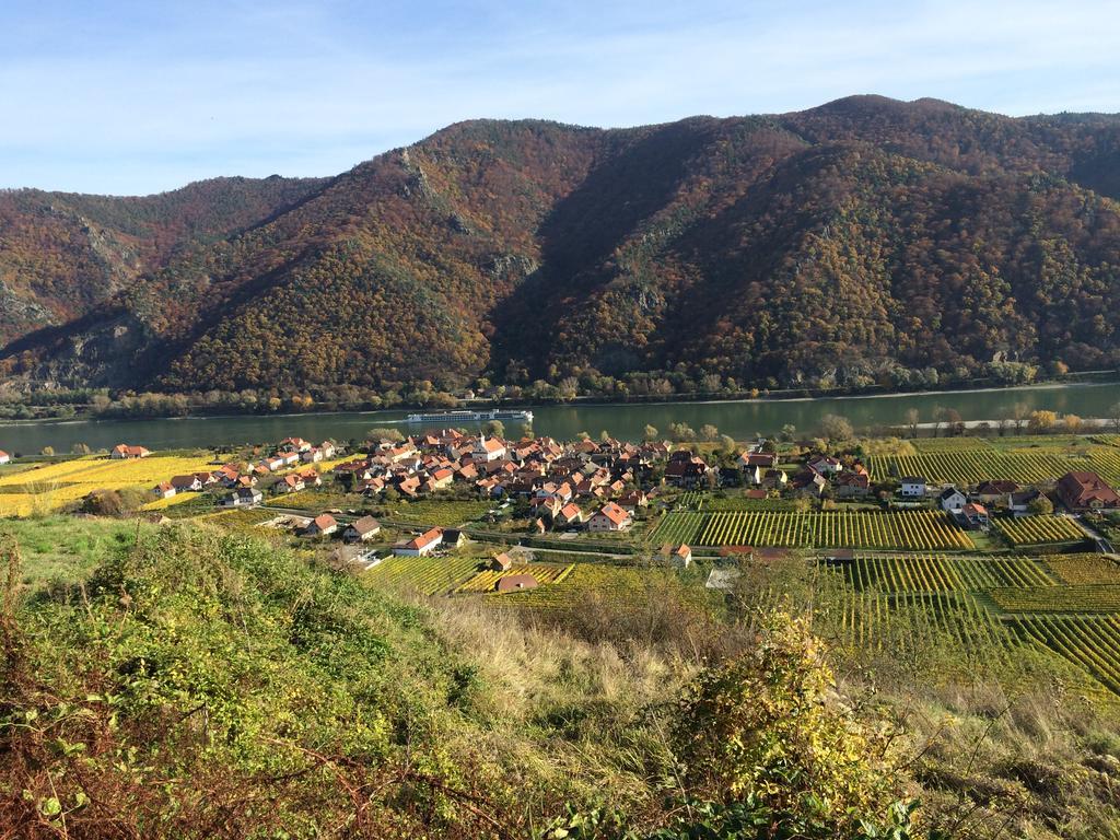 Weingut Langmayer Wosendorf in der Wachau Bagian luar foto